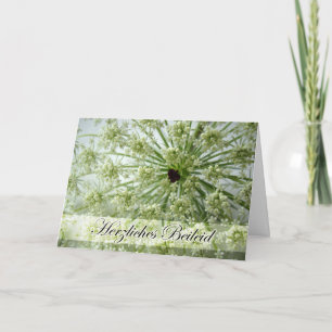 Sympathy in German, Queen Anne's Lace, Flowers Card