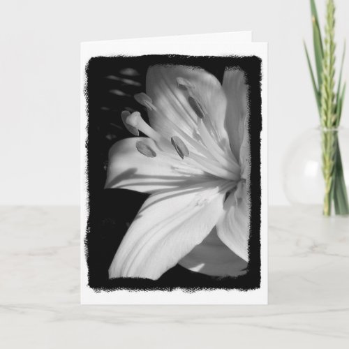 Sympathy Lily Card