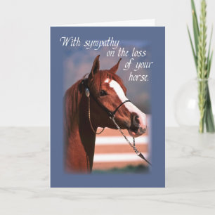 Sympathy Loss of Horse, Blue Card
