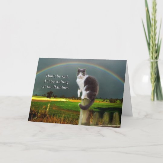 Sympathy - Loss of Pet Cat Card | Zazzle.com