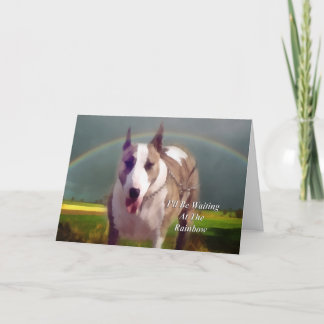 Sympathy - Loss of Pet Dog Card