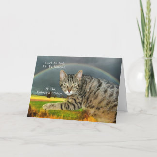 Sympathy - Loss of Pet Tabby Cat Card