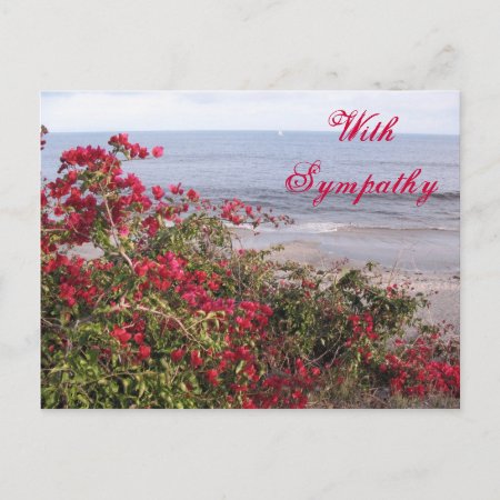 Sympathy Malibu Postcard