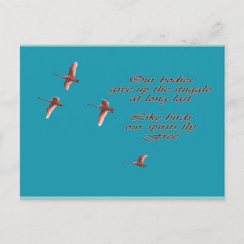 Sympathy-may You Find Comfort Trupeter Swans Postcard by boopboopadup at Zazzle