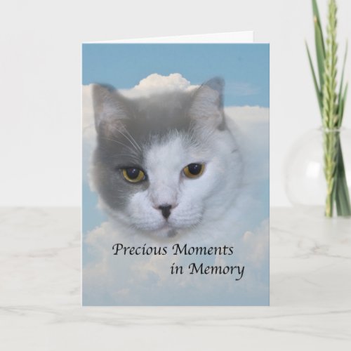 Sympathy on Death of Pet Cat Card