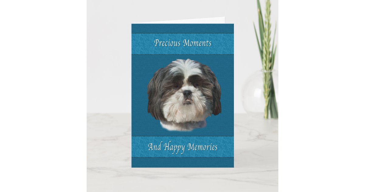Sympathy On Loss Of Pet Shih Tzu Dog Card Zazzle Com