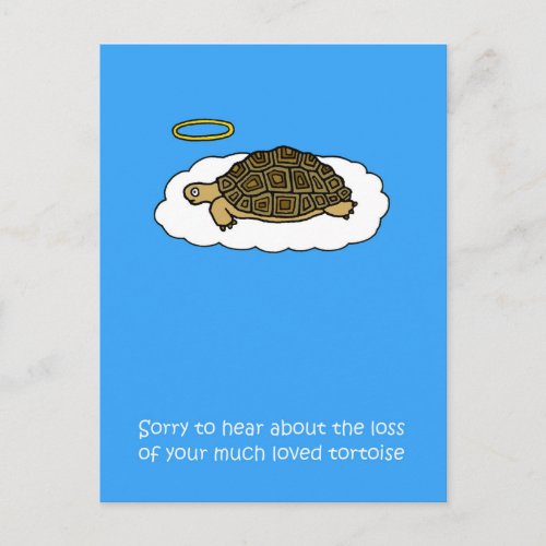 Sympathy on Loss of Pet Tortoise Postcard