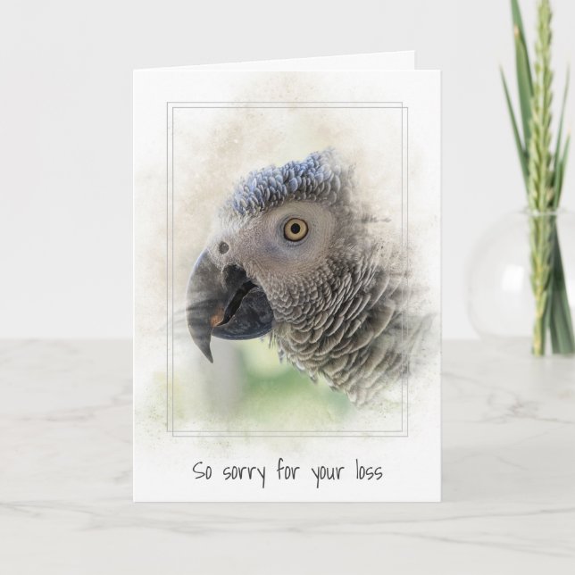 Sympathy Pet Loss of African Gray Parrot Card (Front)