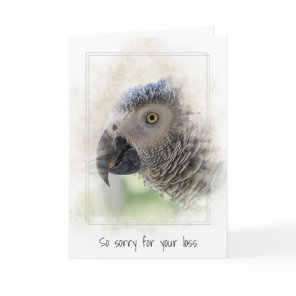 Sympathy Pet Loss of African Gray Parrot Card