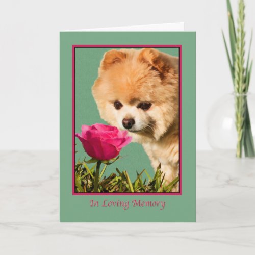 Sympathy Pet Pomeranian Dog and Rose Card