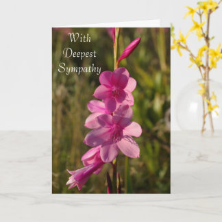 Sympathy Pink Floral White Script Message Photo Card