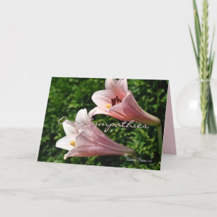 Sympathy- Pk Trumpet Lily- customize any occasion Card