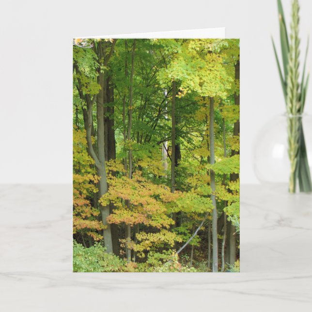 Sympathy - Quiet Forest Card (Front)