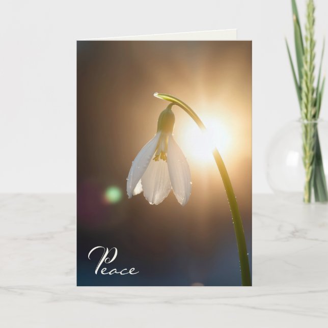Sympathy Snowdrop with Dewdrops in Sunlight Card (Front)