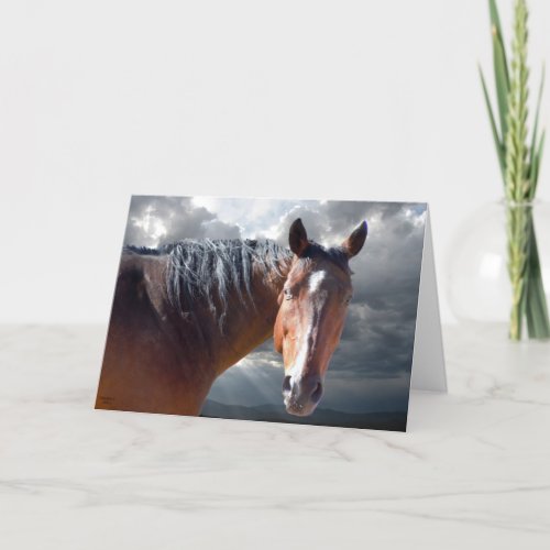 Sympathy Support  Comfort _ Horse Lover Card