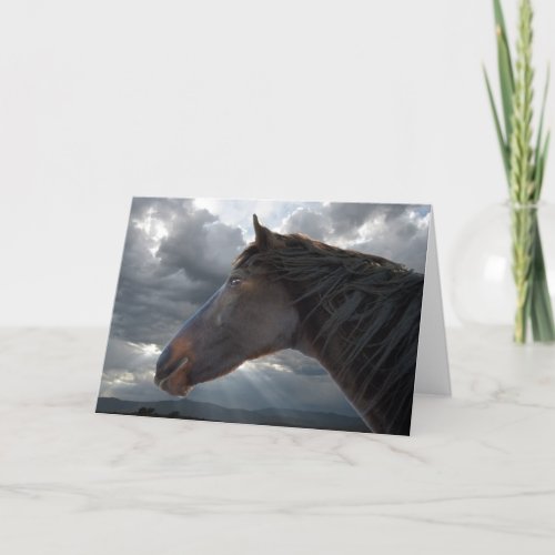 Sympathy Support  Comfort _ Horse Lover Card