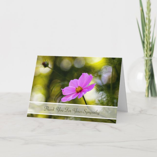 Sympathy Thank You Evening Pink Cosmos Wildflower (Front)