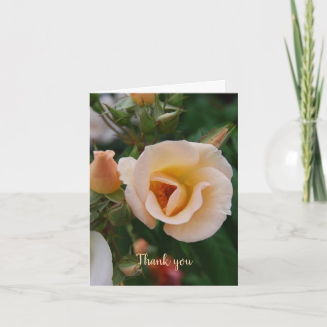 Sympathy Thank You from Family Card (Front)