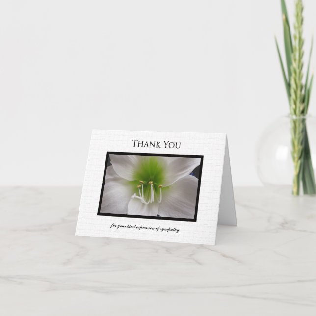 Sympathy Thank You Note Card - White Amaryllis (Front)