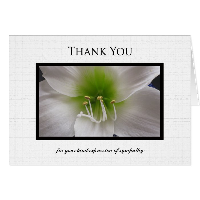 Sympathy Thank You Note Card - White Amaryllis | Zazzle