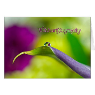 Sympathy Water Droplet On Leaf