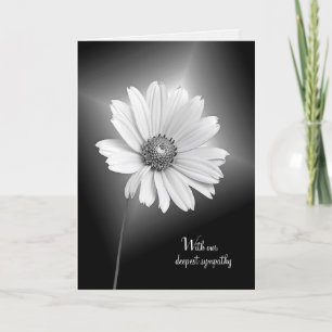 sympathy white cosmos flower card