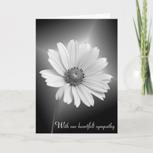 Sympathy White Cosmos on Black Card