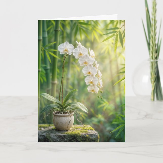Sympathy White Orchids and Bamboo Card (Front)