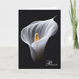 Sympathy White Peace Lily On Black Card