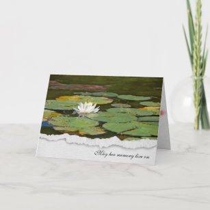 sympathy-white water lily with lily pads card