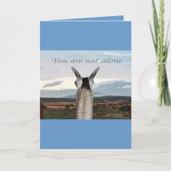 Sympathy: You Are Not Alone Llama Card by boopboopadup at Zazzle