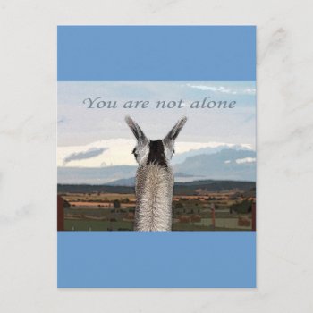 Sympathy: You Are Not Alone Llama Postcard by boopboopadup at Zazzle