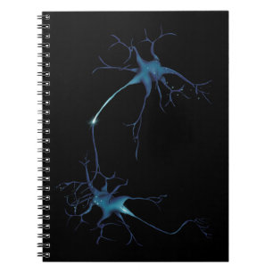 Synapse Between Neurons, Neuroscience Neuron Notebook