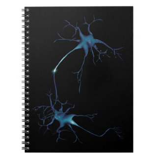 Synapse Between Neurons, Neuroscience Neuron Notebook