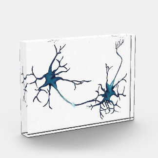 Synapse Between Neurons, Neuroscience Neuron Photo Block