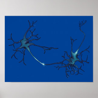 Synapse Between Neurons, Neuroscience Neuron Poster