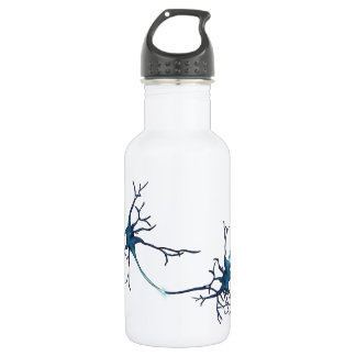 Synapse Between Neurons, Neuroscience Neuron Stainless Steel Water Bottle