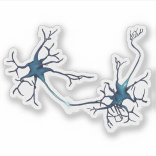 Synapse Between Neurons, Neuroscience Neuron Sticker
