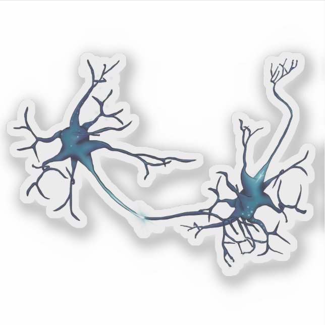 Synapse Between Neurons, Neuroscience Neuron Sticker (Front)