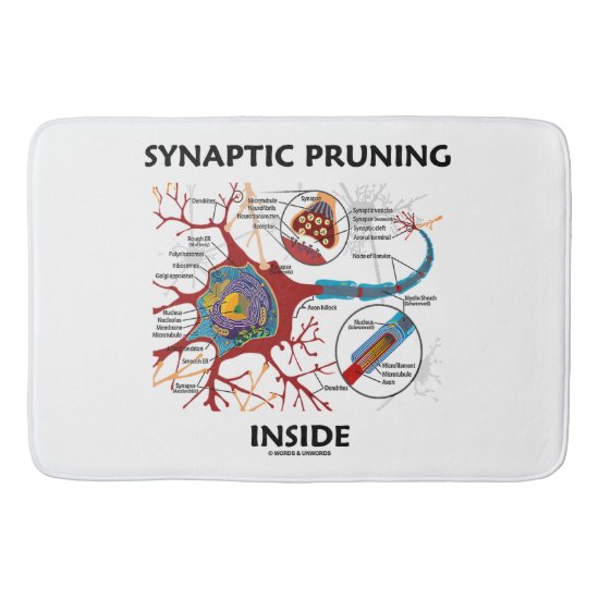 Synaptic Pruning Inside Neuron Synapse Neurology Bathroom Mat