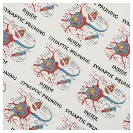 Synaptic Pruning Inside Neuron Synapse Neurology Fabric