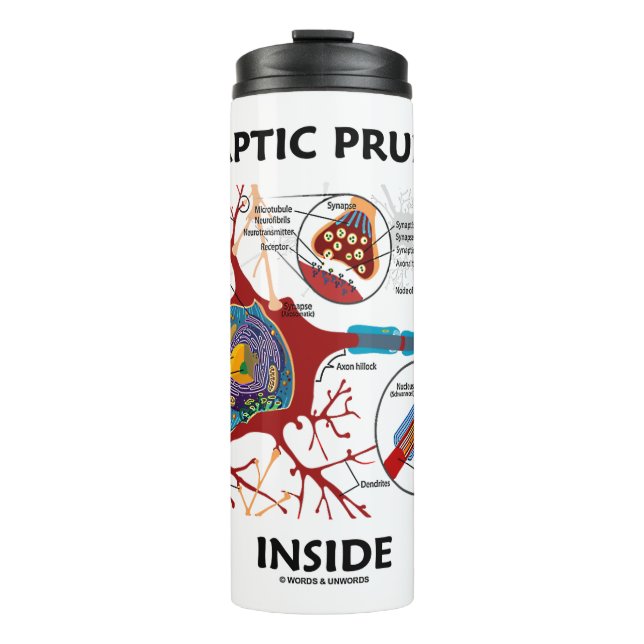 Synaptic Pruning Inside Neuron Synapse Neurology Thermal Tumbler (Front)