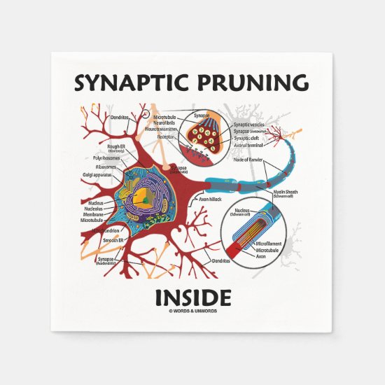 Synaptic Pruning Inside Neuron Synapse Paper Napkin
