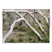 Synchronicity (Front Horizontal)