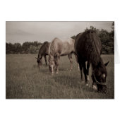 Synchronized Munching (Front Horizontal)
