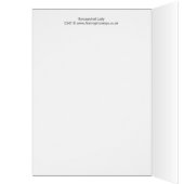 Syncopated Lady (Inside (Left))