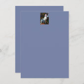 Synesthesia (Front/Back)