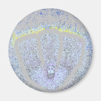 Synesthesia Wednesday Magnet