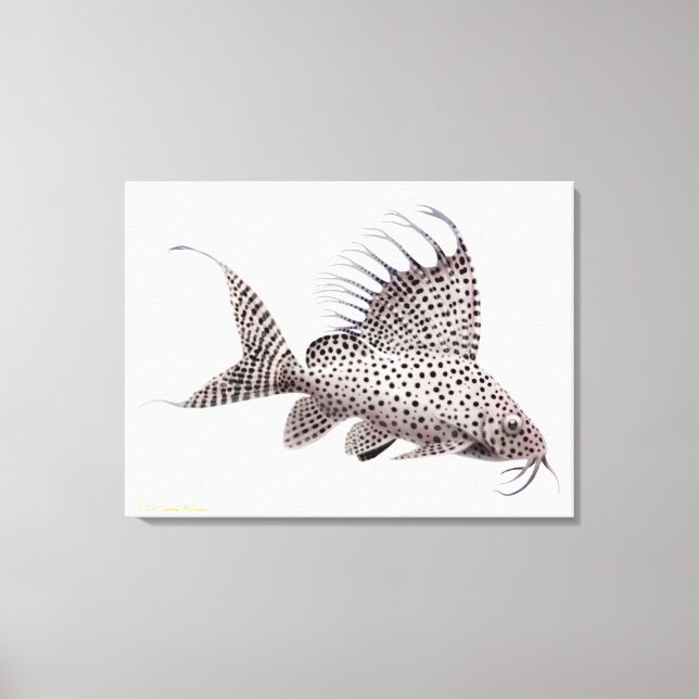 Synodontis Eupterus Catfish Wrapped Canvas Print (Front)