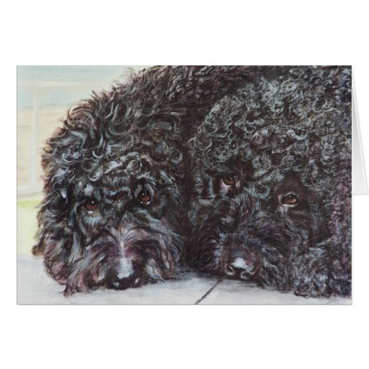 "Syrah and Cabernet" Cards (Front Horizontal)